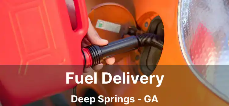 Fuel Delivery Deep Springs - GA