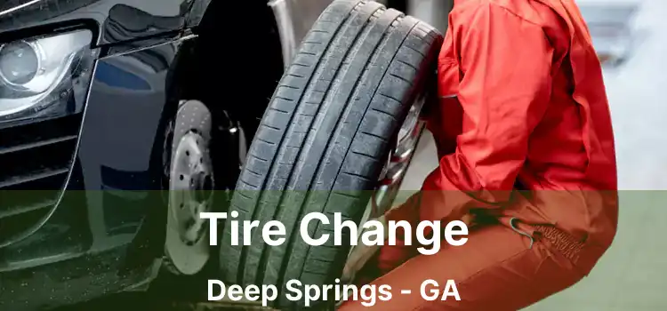 Tire Change Deep Springs - GA