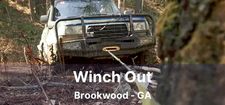 Winch Out Brookwood - GA