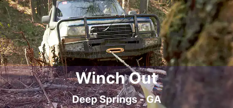 Winch Out Deep Springs - GA